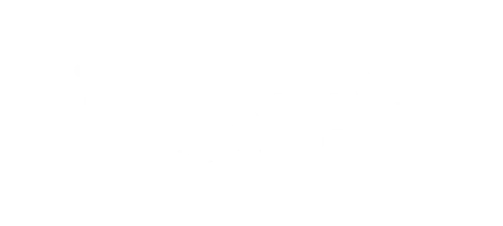 Jugo Manzana y Arándano 1Lt x8